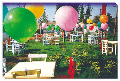 Şirket Pikniği Organizasyonu Piknik Konsepti belirleme